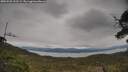./images/calvert/fitz-hugh-hecate/20250509/fitz-hugh-hecate20250509_132508M.jpg