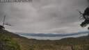 ./images/calvert/fitz-hugh-hecate/20250509/fitz-hugh-hecate20250509_133010M.jpg