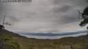 ./images/calvert/fitz-hugh-hecate/20250509/fitz-hugh-hecate20250509_133509M.jpg