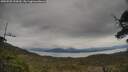 ./images/calvert/fitz-hugh-hecate/20250509/fitz-hugh-hecate20250509_134510M.jpg