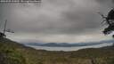 ./images/calvert/fitz-hugh-hecate/20250509/fitz-hugh-hecate20250509_135009M.jpg