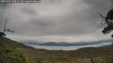 ./images/calvert/fitz-hugh-hecate/20250509/fitz-hugh-hecate20250509_135509M.jpg