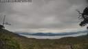 ./images/calvert/fitz-hugh-hecate/20250509/fitz-hugh-hecate20250509_140509M.jpg