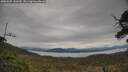 ./images/calvert/fitz-hugh-hecate/20250509/fitz-hugh-hecate20250509_141010M.jpg