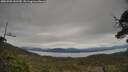 ./images/calvert/fitz-hugh-hecate/20250509/fitz-hugh-hecate20250509_141510M.jpg