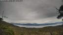 ./images/calvert/fitz-hugh-hecate/20250509/fitz-hugh-hecate20250509_142009M.jpg