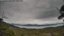 ./images/calvert/fitz-hugh-hecate/20250509/fitz-hugh-hecate20250509_142508M.jpg