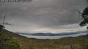 ./images/calvert/fitz-hugh-hecate/20250509/fitz-hugh-hecate20250509_143010M.jpg
