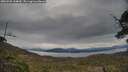 ./images/calvert/fitz-hugh-hecate/20250509/fitz-hugh-hecate20250509_144009M.jpg