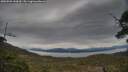 ./images/calvert/fitz-hugh-hecate/20250509/fitz-hugh-hecate20250509_144510M.jpg