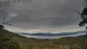 ./images/calvert/fitz-hugh-hecate/20250509/fitz-hugh-hecate20250509_145007M.jpg