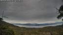 ./images/calvert/fitz-hugh-hecate/20250509/fitz-hugh-hecate20250509_145510M.jpg