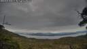 ./images/calvert/fitz-hugh-hecate/20250509/fitz-hugh-hecate20250509_150509M.jpg