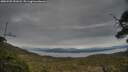 ./images/calvert/fitz-hugh-hecate/20250509/fitz-hugh-hecate20250509_151008M.jpg