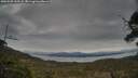 ./images/calvert/fitz-hugh-hecate/20250509/fitz-hugh-hecate20250509_152508M.jpg