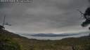 ./images/calvert/fitz-hugh-hecate/20250509/fitz-hugh-hecate20250509_153010M.jpg