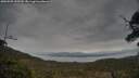./images/calvert/fitz-hugh-hecate/20250509/fitz-hugh-hecate20250509_153510M.jpg
