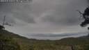 ./images/calvert/fitz-hugh-hecate/20250509/fitz-hugh-hecate20250509_154510M.jpg