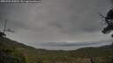./images/calvert/fitz-hugh-hecate/20250509/fitz-hugh-hecate20250509_155010M.jpg