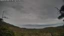 ./images/calvert/fitz-hugh-hecate/20250509/fitz-hugh-hecate20250509_155509M.jpg