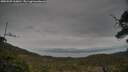 ./images/calvert/fitz-hugh-hecate/20250509/fitz-hugh-hecate20250509_160011M.jpg