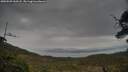 ./images/calvert/fitz-hugh-hecate/20250509/fitz-hugh-hecate20250509_160508M.jpg