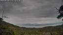 ./images/calvert/fitz-hugh-hecate/20250509/fitz-hugh-hecate20250509_161009M.jpg