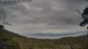 ./images/calvert/fitz-hugh-hecate/20250509/fitz-hugh-hecate20250509_161510M.jpg