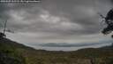 ./images/calvert/fitz-hugh-hecate/20250509/fitz-hugh-hecate20250509_162508M.jpg