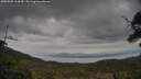 ./images/calvert/fitz-hugh-hecate/20250509/fitz-hugh-hecate20250509_163010M.jpg