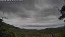 ./images/calvert/fitz-hugh-hecate/20250509/fitz-hugh-hecate20250509_164007M.jpg
