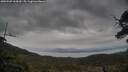 ./images/calvert/fitz-hugh-hecate/20250509/fitz-hugh-hecate20250509_164509M.jpg