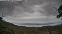 ./images/calvert/fitz-hugh-hecate/20250509/fitz-hugh-hecate20250509_165009M.jpg
