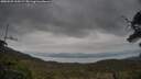 ./images/calvert/fitz-hugh-hecate/20250509/fitz-hugh-hecate20250509_165509M.jpg