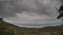 ./images/calvert/fitz-hugh-hecate/20250509/fitz-hugh-hecate20250509_170010M.jpg