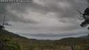 ./images/calvert/fitz-hugh-hecate/20250509/fitz-hugh-hecate20250509_170509M.jpg