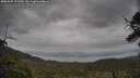 ./images/calvert/fitz-hugh-hecate/20250509/fitz-hugh-hecate20250509_171510M.jpg