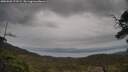 ./images/calvert/fitz-hugh-hecate/20250509/fitz-hugh-hecate20250509_172509M.jpg