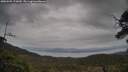 ./images/calvert/fitz-hugh-hecate/20250509/fitz-hugh-hecate20250509_173010M.jpg
