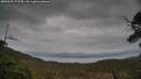 ./images/calvert/fitz-hugh-hecate/20250509/fitz-hugh-hecate20250509_173510M.jpg