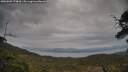 ./images/calvert/fitz-hugh-hecate/20250509/fitz-hugh-hecate20250509_174009M.jpg