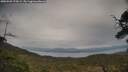 ./images/calvert/fitz-hugh-hecate/20250509/fitz-hugh-hecate20250509_175009M.jpg