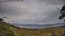 ./images/calvert/fitz-hugh-hecate/20250509/fitz-hugh-hecate20250509_175507M.jpg