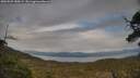 ./images/calvert/fitz-hugh-hecate/20250509/fitz-hugh-hecate20250509_180509M.jpg