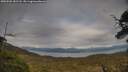 ./images/calvert/fitz-hugh-hecate/20250509/fitz-hugh-hecate20250509_181508M.jpg