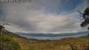 ./images/calvert/fitz-hugh-hecate/20250509/fitz-hugh-hecate20250509_182008M.jpg