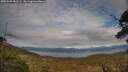 ./images/calvert/fitz-hugh-hecate/20250509/fitz-hugh-hecate20250509_183509M.jpg