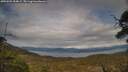 ./images/calvert/fitz-hugh-hecate/20250509/fitz-hugh-hecate20250509_184009M.jpg