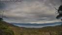 ./images/calvert/fitz-hugh-hecate/20250509/fitz-hugh-hecate20250509_185010M.jpg