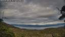 ./images/calvert/fitz-hugh-hecate/20250509/fitz-hugh-hecate20250509_185510M.jpg